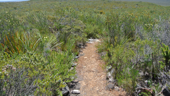 fitzgerald_mount_maxwell