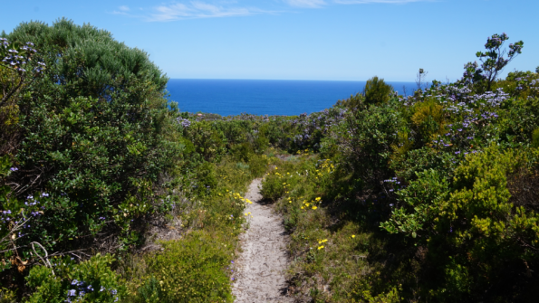 mandalay_beach_trail