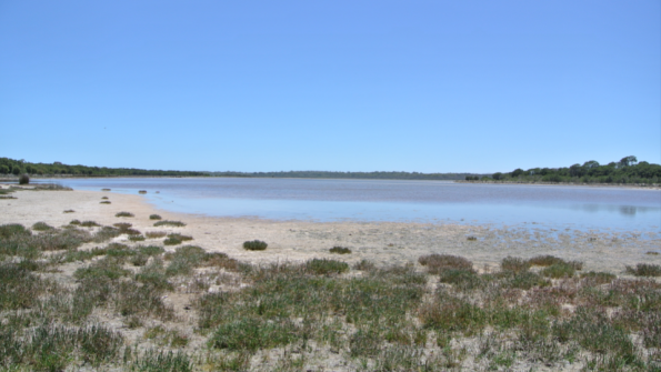 yalgorup_lake_moustiques