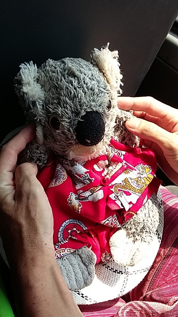 Katoomba_bouche_ses_oreilles