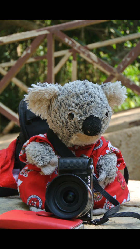 22._Katoomba_photographe