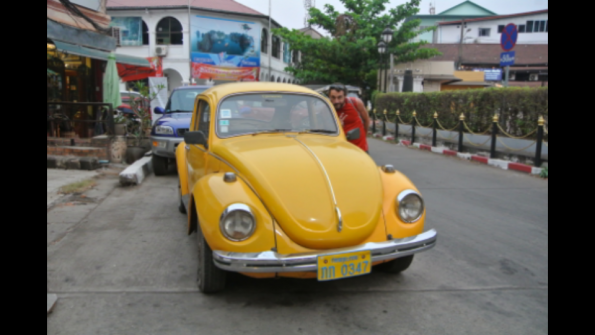 26._coccinelle_jaune