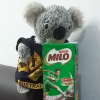 Katoomba_milo