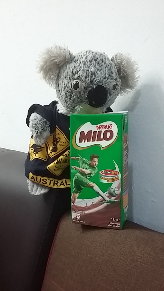 Katoomba_milo