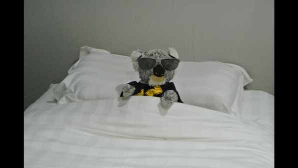 Screenshot_2017-02-19-15-01-13