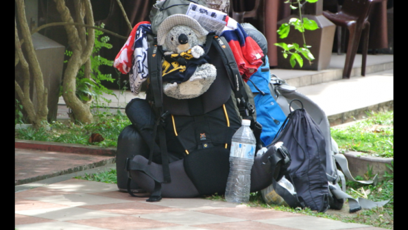 katoomba_surveille_sacs