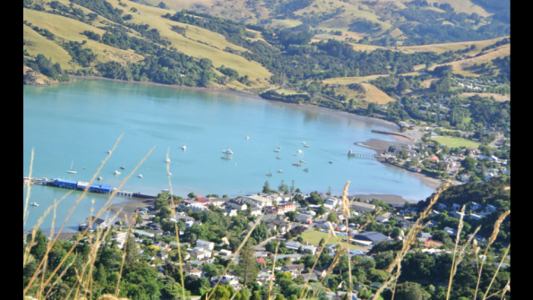 Screenshot_2017-02-03-13-41-59