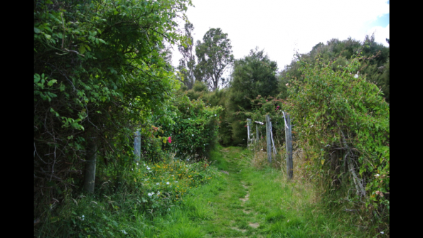 Screenshot_2017-02-03-13-42-06