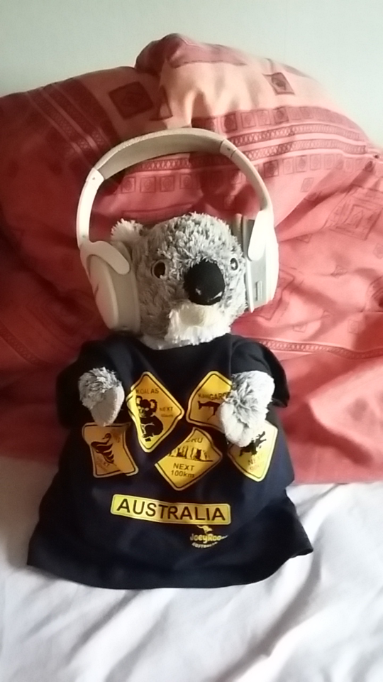 Katoomba_casque_Bose