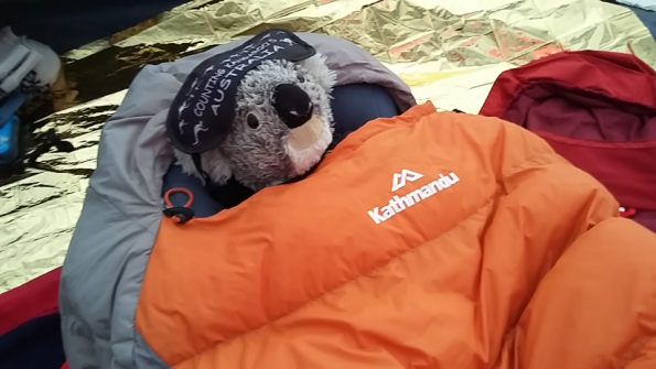 Screenshot_2017-01-30-10-29-55