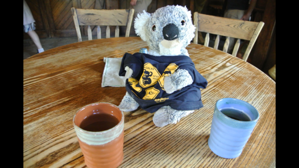 Screenshot_2017-01-16-17-19-04