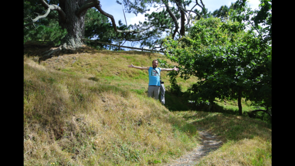 Screenshot_2017-01-16-17-19-09