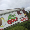Kiwigolf
