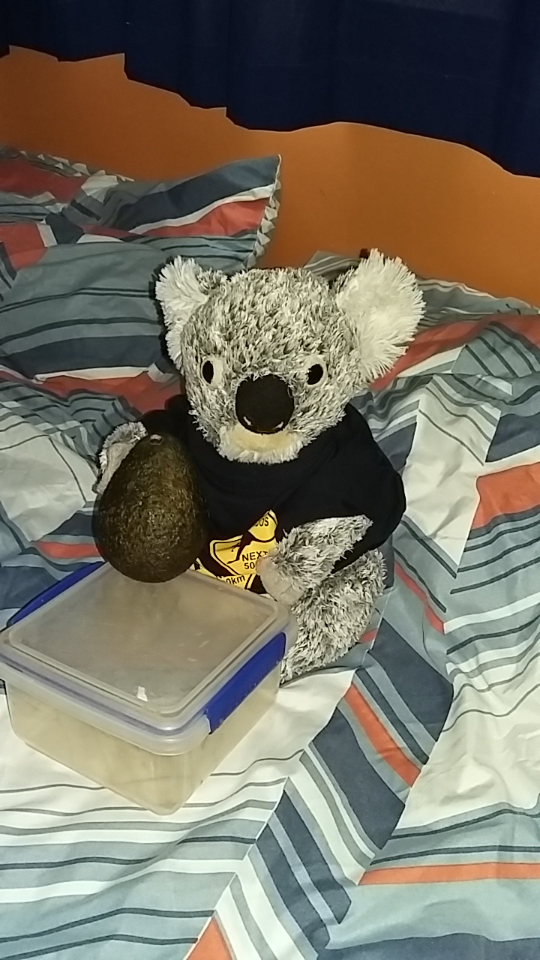 Screenshot_2017-01-16-16-40-16