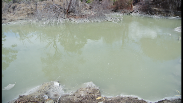 Screenshot_2017-01-16-08-22-15