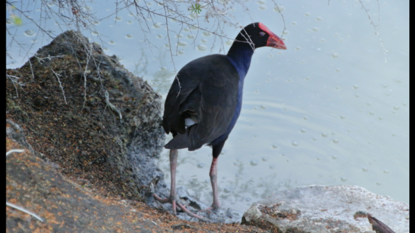 Screenshot_2017-01-16-08-22-20