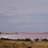 Pink_lake
