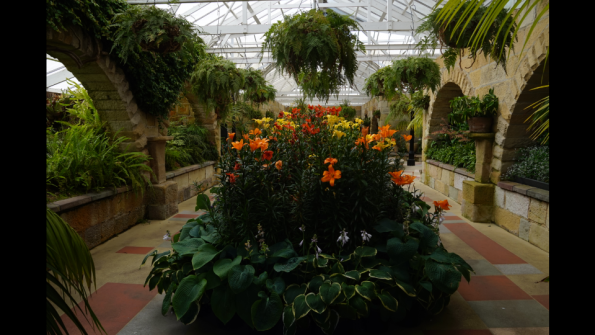 21_conservatory