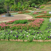 Mae_Fah_Botanic_Garden
