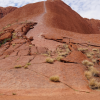uluru_2