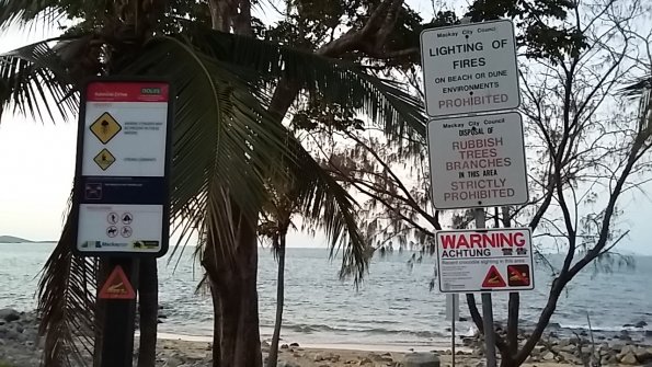 crocodiles_et_meduses