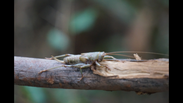 Screenshot_2016-10-18-19-47-47