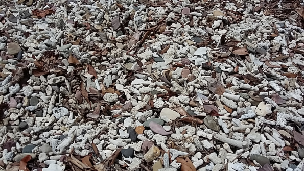 Screenshot_2016-10-18-19-48-20