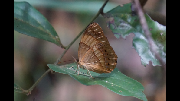 Screenshot_2016-10-18-19-48-24