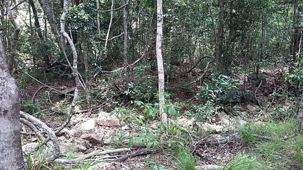 Screenshot_2016-10-18-19-48-30