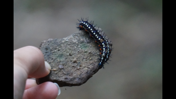 Screenshot_2016-10-18-19-48-39