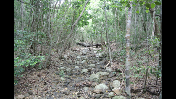 Screenshot_2016-10-18-19-48-44