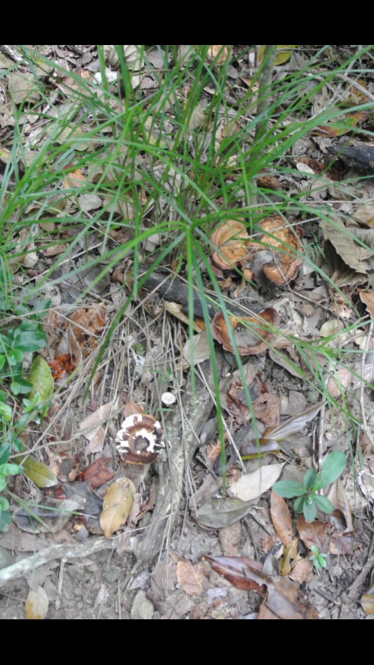 Screenshot_2016-10-18-19-48-52