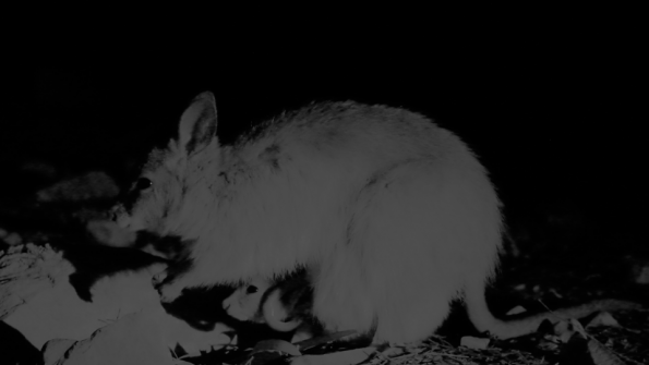 Screenshot_2016-11-03-15-06-37