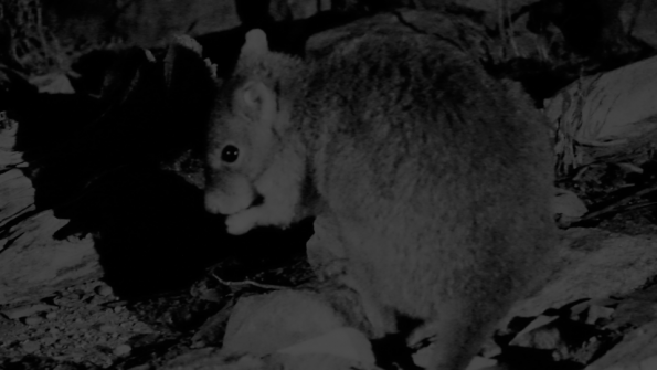 Screenshot_2016-11-03-15-06-41