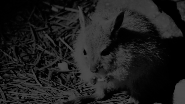 Screenshot_2016-11-03-15-06-49