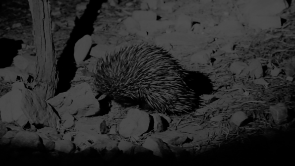 Screenshot_2016-11-03-15-06-53