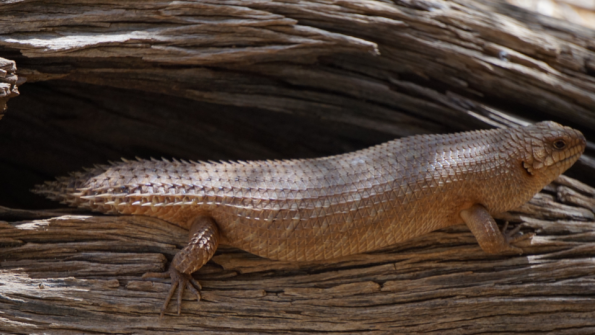 Screenshot_2016-11-03-15-08-04