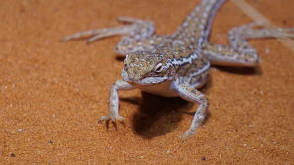 Screenshot_2016-11-03-15-08-18