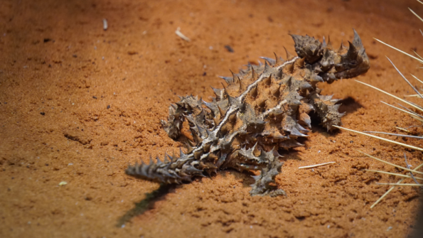 Screenshot_2016-11-03-15-08-22