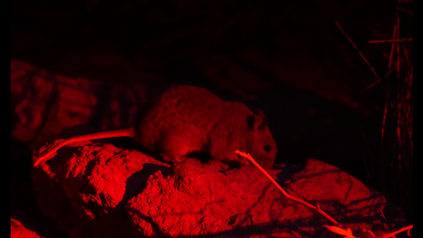 Screenshot_2016-11-03-15-08-36