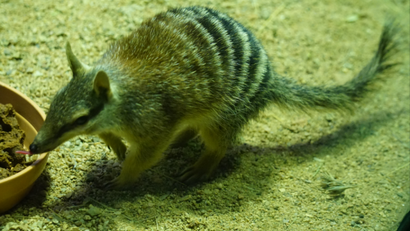 Screenshot_2016-11-03-15-08-45