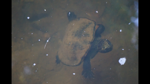 Screenshot_2016-10-18-19-41-40