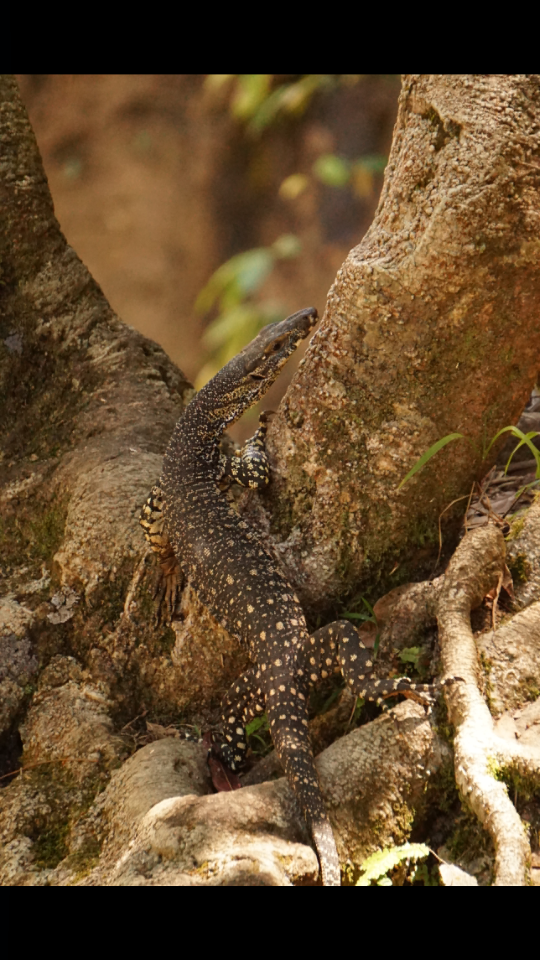 Screenshot_2016-10-18-19-41-52