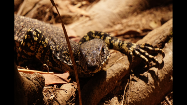 Screenshot_2016-10-18-19-41-57