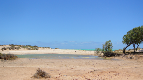 ningaloo_3