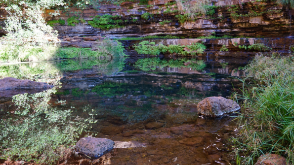 Screenshot_2016-11-12-15-51-41