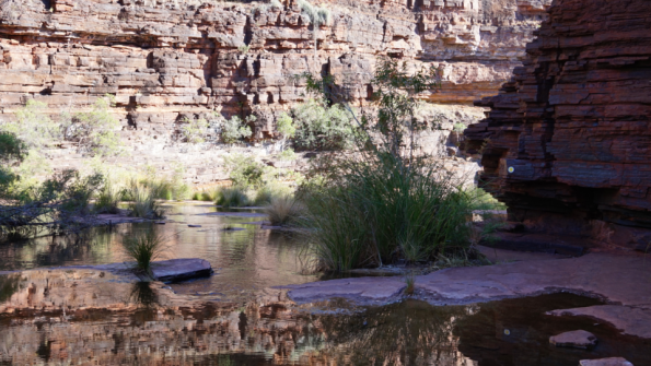 Screenshot_2016-11-12-15-52-01