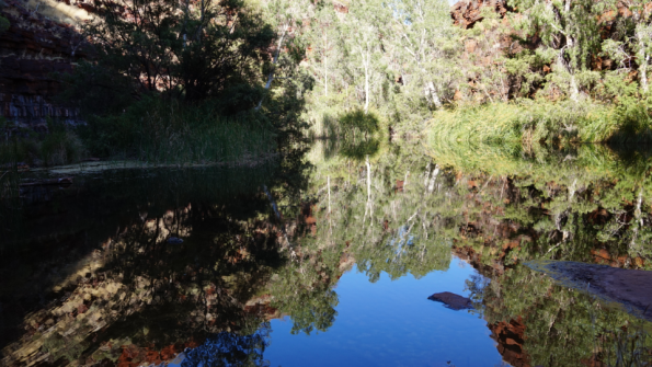 Screenshot_2016-11-12-15-52-07