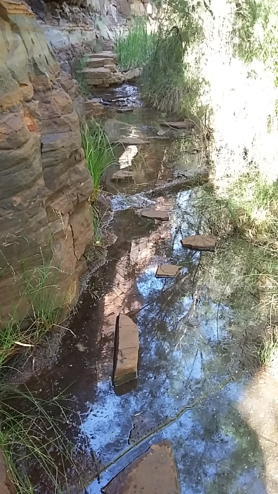 Screenshot_2016-11-12-15-52-14