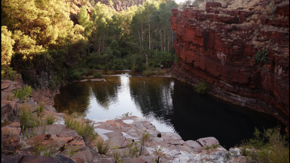 Screenshot_2016-11-12-15-52-58